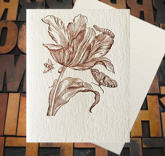 Letterpress Card with an image of a tulip surrounded by various insects